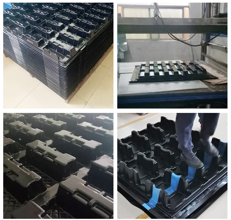 ���������бP�aƷ